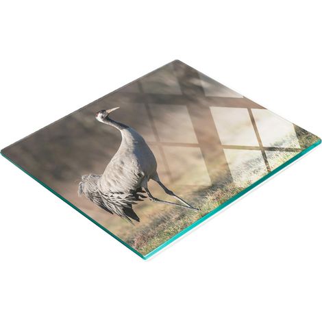 Pannello decorativo multifunzionale da cucina in vetro temperato Czapla 60x52 cm (1/5)