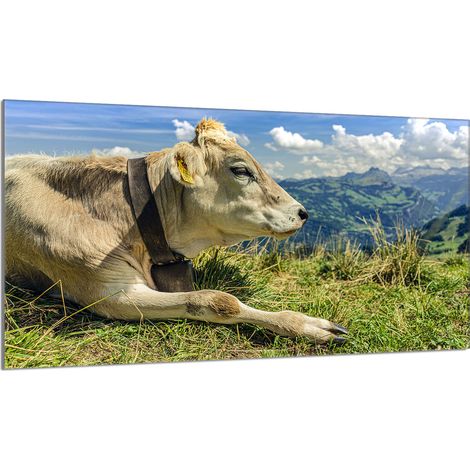 Glasschutzplatte für den Herd 90x52 Kuh (1/5)