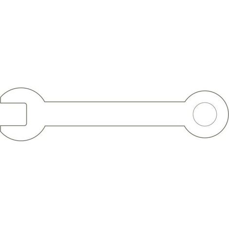 R20902009 Ruota pivottante con freno per carrello da officina WINGMAN