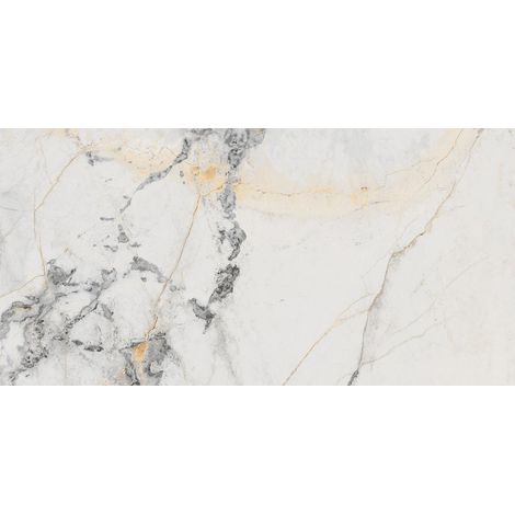 Carrelage sol / mur effet marbre gris mate 60x120 cm MARBLELOUS Erdek R (1/3)
