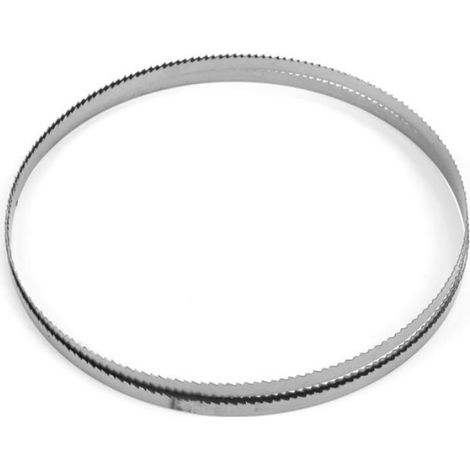 Lame De Scie A Ruban - 1400 mm - 6,35 mm Largeur - 10 Dents Pouces - Acier A Ressort SK5 - Pour Bois Et Viande - 1 Piece (1/4)