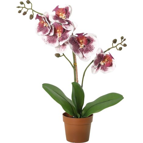Orchidée Phalaenopsis Artificielle Plante Décorative pour Intérieur Violet et Blanc 41 cm - PANGIVO