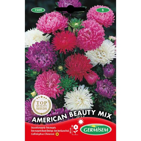 Graines Reine-marguerite Beauté d'Amérique MIX (1/2)