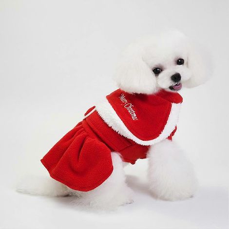 Vêtements d'hiver et de Noël pour petits chiens : robe rouge mignonne, veste et tenue pour chiots. (1/2)