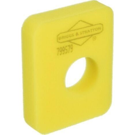 Briggs & Stratton 799579 Filtre à air (1/3)