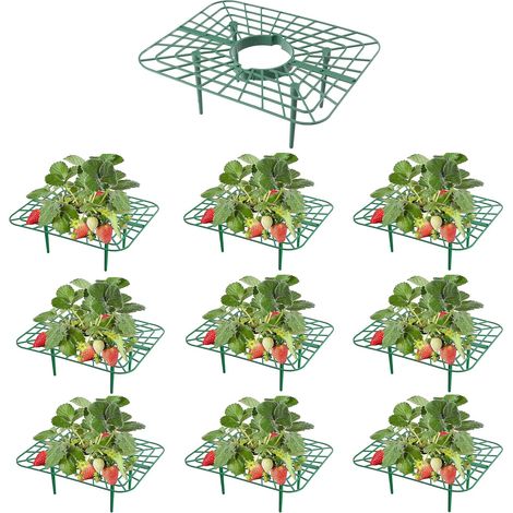 Set mit 10 Erdbeerpflanzenstützen, wiederverwendbare Stützen, Gewächshauszubehör zum Schutz von Erdbeerpflanzen, Anzuchtgitter, Blumentöpfe geeignet für Gartenerdbeeren.