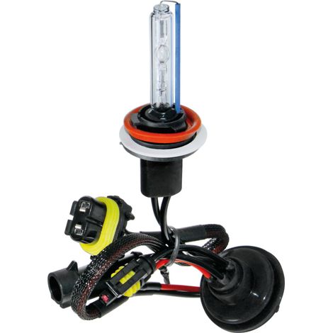 12/24V Lampadina HID Xenon 6.000K - H11 - 1 pz  - Scatola (1/2)