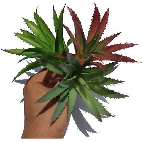 Collection de 3 plantes succulentes artificielles décoratives compatibles avec l'aloès simulé (1/5)