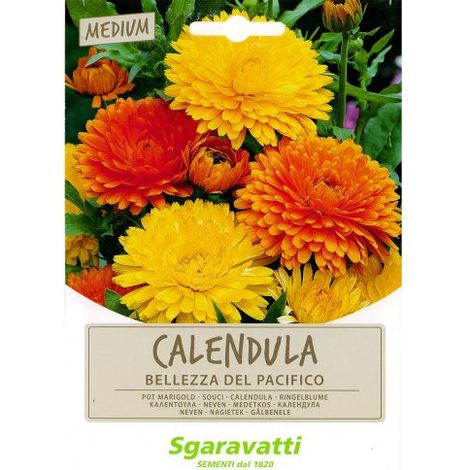 SEMI PER PRATO UNIVERSALE calendula bellezza del pacifico 10 PZ