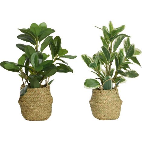 Kaemingk Pianta Artificiale - Verde - 25x25x35 cm (1/3)
