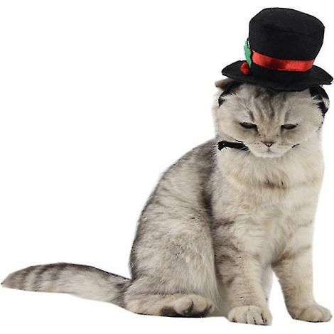 1 chapeau pour animal de compagnie, décoration d'Halloween (1/3)