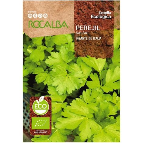 Rokalba Eco Perejil Gigante von Italien 6G