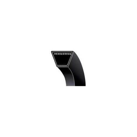 Courroie pour motoculteur SHIBAURA modele PM90D