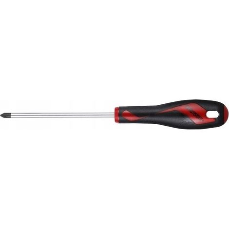 Cacciavite Teng Tools pz2x100/116 acciaio ergonomico (1/2)