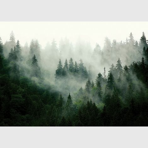 Poster intissé - Forêt brumeuse - 155x110 cm (1/5)