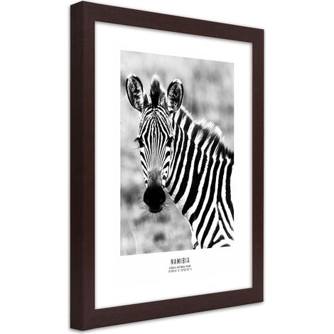 Quadro con cornice, Una zebra curiosa - 20x30 (1/5)