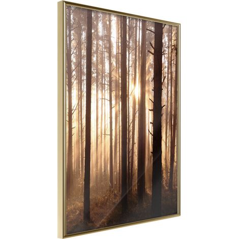 Affiche Murale Encadrée "Morning in the Forest" 30 x 42 cm Or