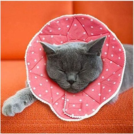 Collerette confortable de post-chirurgie pour chats et chiens, robuste, imperméable, résistante aux griffures et morsures, facile à nettoyer, avec attache ajustable, Ensoleillé (1/2)
