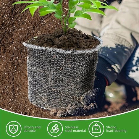 5 paniers en acier inoxydable pour protéger les racines de plantes, tubercules, arbres et fleurs des campagnols : cages métalliques robustes de 13x13,8 pouces (1/4)