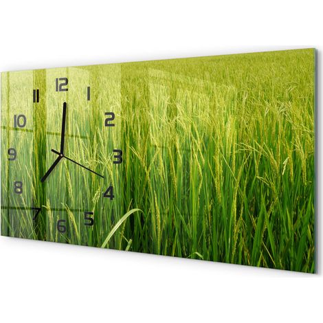 Horloge Murale Salon 60x30 cm Panoramique Verre Trempé Décoration Murale Rizière (1/5)
