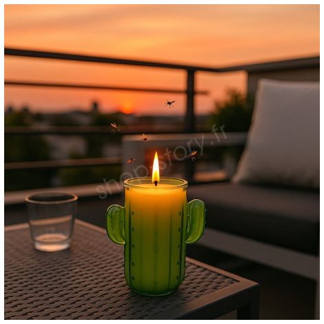 Bougie Citronnelle Cactus en Pot – Anti-Moustique Extérieur Durable