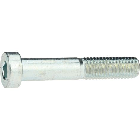 Reidl DIN 7984 Zylinderschraube 16x45mm Stahl 8.8 verzinkt niedriger Kopf Innensechskant (1/4)
