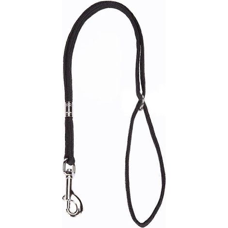 Corde à lasso pour chien, chat ou autre animal, avec mousqueton, pour table de toilettage, accoudoirs et baignoire, 52 cm (1/4)