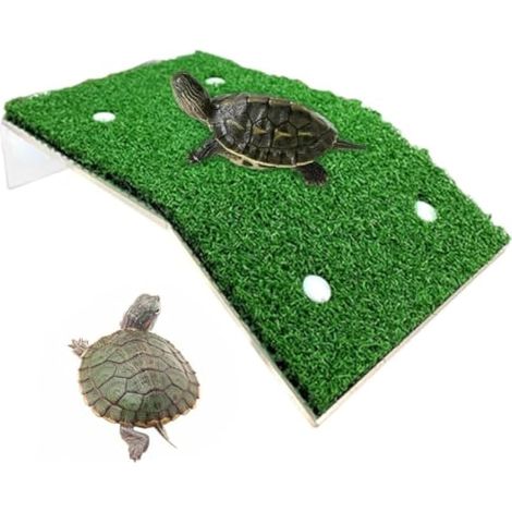 Rampe de pèlerinage pour Tortues Aquatiques Gazon Artificiel Compact et (1/5)
