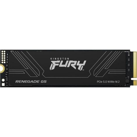 SSD NVMe Kingston Technology FURY RENEGADE G5 M.2 2280 de 1 To