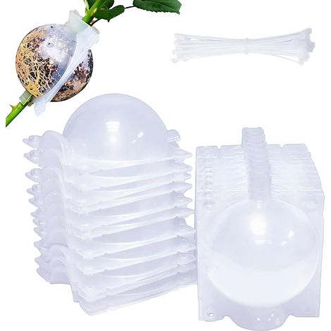 10pcs Boule De Marcottage, Transparente, Réutilisable, Pour Semis Intérieur Et Extérieur (1/5)