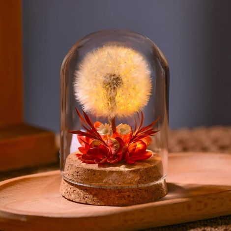 Lampe Réelle de Pissenlit Préservée avec Lumière LED – Décoration de Table en Verre Transparent Fait Main pour l’Anniversaire de Maman et Accents de Maison (Rouge, LED) (1/5)
