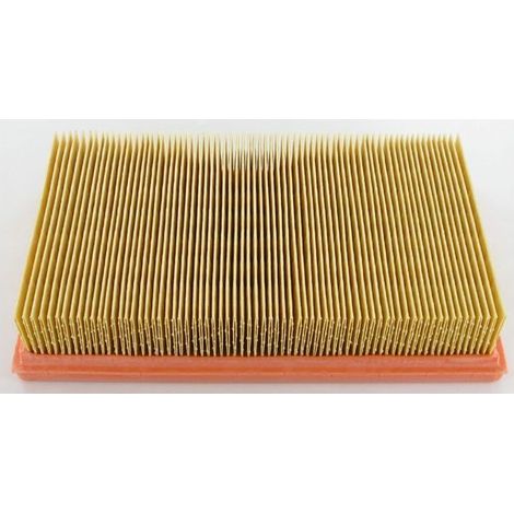 2175-164 - Filtre à Air Adaptable pour Moteur LOMBARDINI