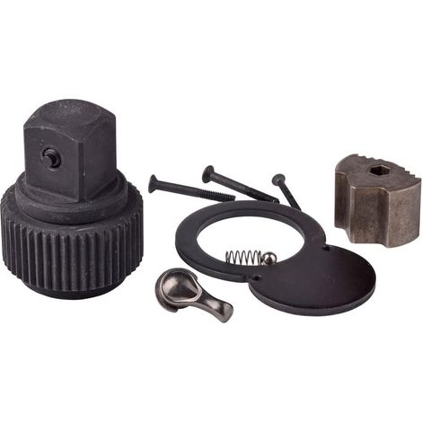 SW-Stahl 03818L-REP Reparatursatz Ratschenmechanismus 1 Zoll I Ratschen-Reparatur Set für Drehmomentschlüssel 03818L und 03878L I Reparatur-Satz für Knarrenkopf