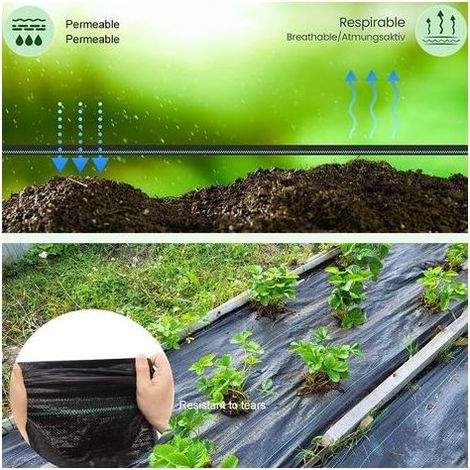 Toile de Paillage,Toile Anti Mauvaises Herbes 2x10m,Geotextile Anti Repousse,Bache Geotextile Anti Herbe,Bache Noire Agricole,Barriere Anti Racine,Contre Mauvais Herbes (1/5)