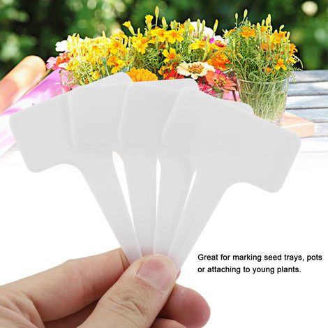 Étiquettes de marquage pour plantes en plastique blanc, 50 pièces, style T, pour pépinière, jardin et pelouse, marqueurs de jardinage (1/5)