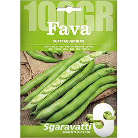 Semi per Fave Fava Superaguadulce Sgaravatti 100 gr