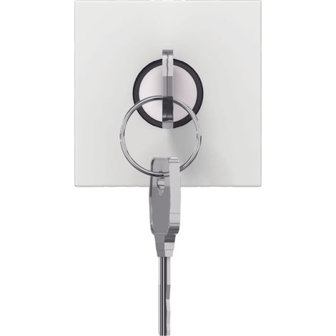 Legrand – Interrupteur à clé pour commande BAES – Poussoir composable – Mode de pose électricité – Compatible télécommande multifonctions