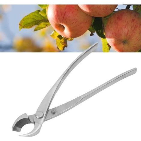 Ciseaux à bonsaï, sécateurs, sécateurs de jardinage, outils à bonsaï, acier inoxydable, (21 cm) (1/4)