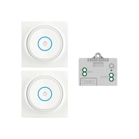 Wireless Switch, 433MHz 220V Mobile Self-Generating Switch, Mini RF Receiver, Radio Transmitter, Remote Control, 100M Range for Light Control (2 Switches, 1 Receiver)