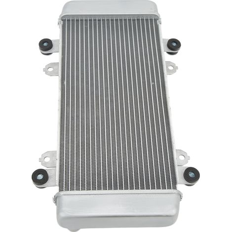 Réservoir d'eau de refroidissement de radiateur de moto en aluminium, remplacement pour NINJA 300 2013-2018, argent (1/5)
