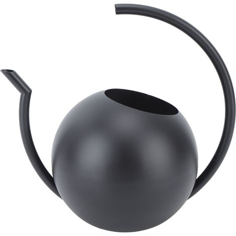 Arrosoir à long bec en acier inoxydable, outil d'arrosage pour plantes d'intérieur et d'extérieur, noir (1/5)
