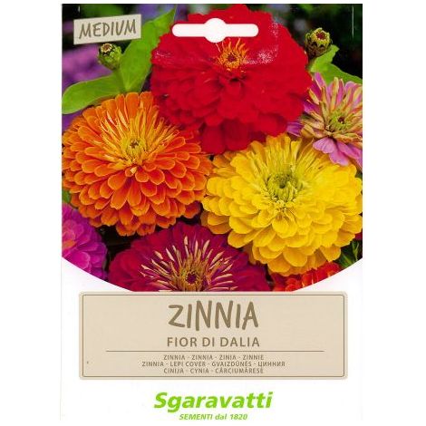 SEMI PER PRATO UNIVERSALE zinnia fior di dahlia