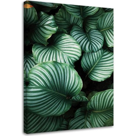 Tableau déco Monstera Feuilles Tropicales 40x60 (1/5)
