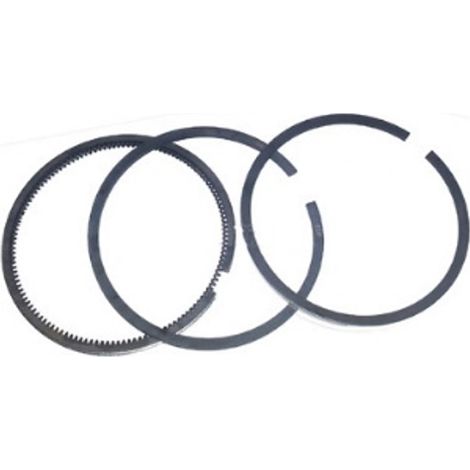 JEU DE SEGMENTS STANDARDS - MOTEUR YANMAR 2TNE68, MICROCAR MC1 MC2 MGO 1 MGO 2, CHATENET BAROODER CH26 CH32 SPEEDINO STELLA, JDM ABACA ALBIZIA TITANE ALOES ROXS (1/3)