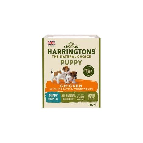 Harringtons Puppy - 778847 (1/2)