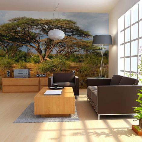 Papier peint réserve nationale de samburu, kenya - 350 x 270 cm