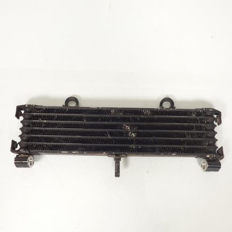 [PRODUIT D'OCCASION] Radiateur refroidissement origine pour moto Yamaha 1300 XJR (1/3)