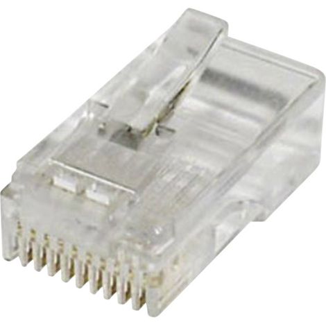 Fiche modulaire mâle econ connect MPL10/10 RJ48 mâle, droit Pôle: 10 transparent(e) 1 pc(s) (1/2)