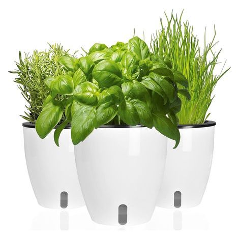 Set of 3 Pots for Fresh Aromatic Herbs Automatic Watering Water Level Indicator 19x18x11 cm