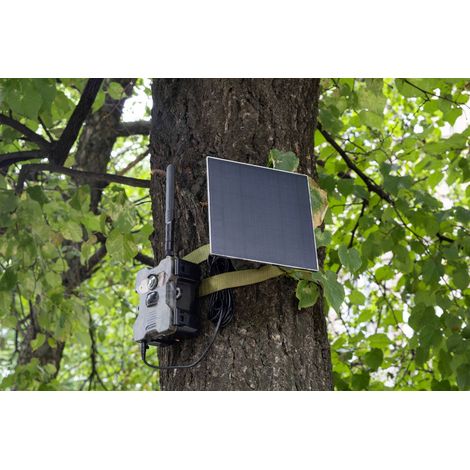 Technaxx 4G Solar-Wildkamera TX-189 (1/5)